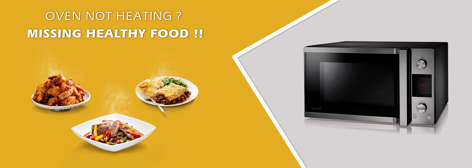 Microwave Repair & service